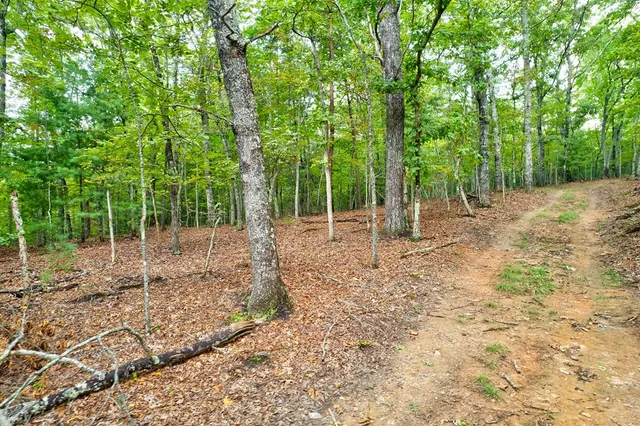 $995,000 | 174 Bear Hollow Drive, Mineral Bluff, GA 30559