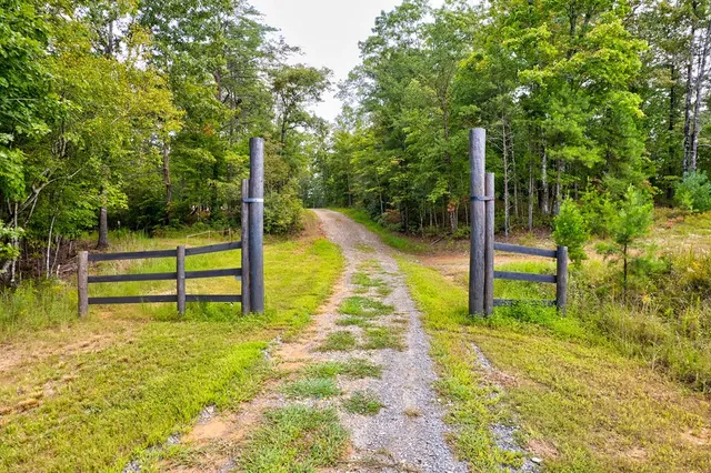 $995,000 | 174 Bear Hollow Drive, Mineral Bluff, GA 30559