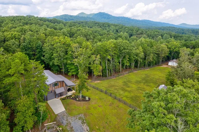 $995,000 | 174 Bear Hollow Drive, Mineral Bluff, GA 30559