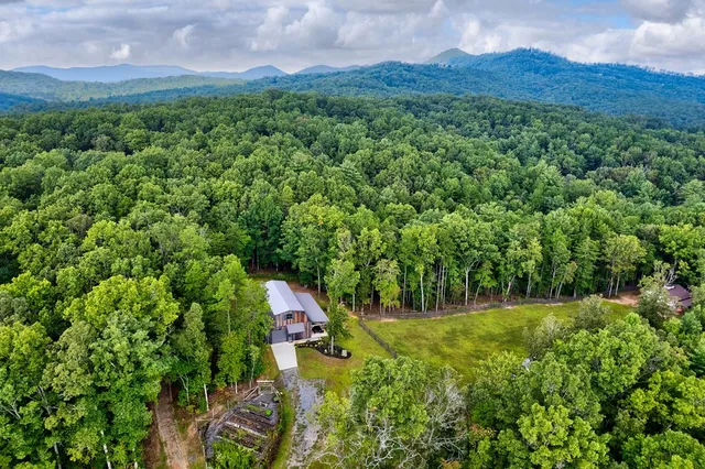 $995,000 | 174 Bear Hollow Drive, Mineral Bluff, GA 30559