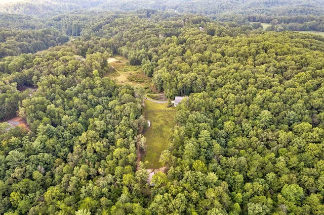 $995,000 | 174 Bear Hollow Drive, Mineral Bluff, GA 30559