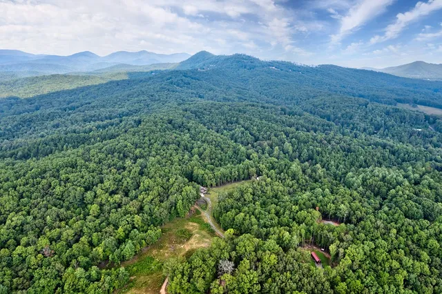 $995,000 | 174 Bear Hollow Drive, Mineral Bluff, GA 30559