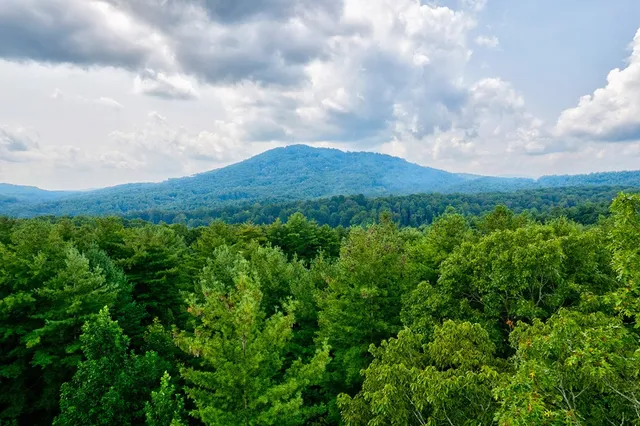 $995,000 | 174 Bear Hollow Drive, Mineral Bluff, GA 30559