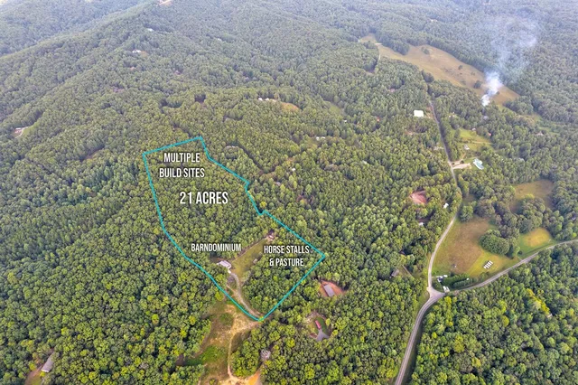 $995,000 | 174 Bear Hollow Drive, Mineral Bluff, GA 30559