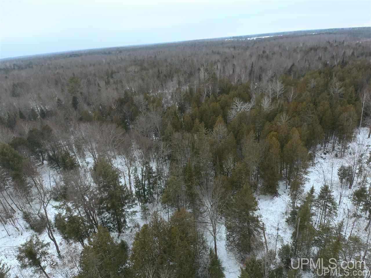 Tbd Winters/savola Road Trenary, MI 49891 - Photo 19 of 19