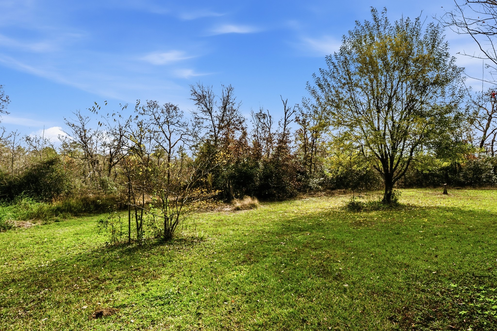 691 Bishop Road Huntsville, TX 77320 - Photo 28 of 32
