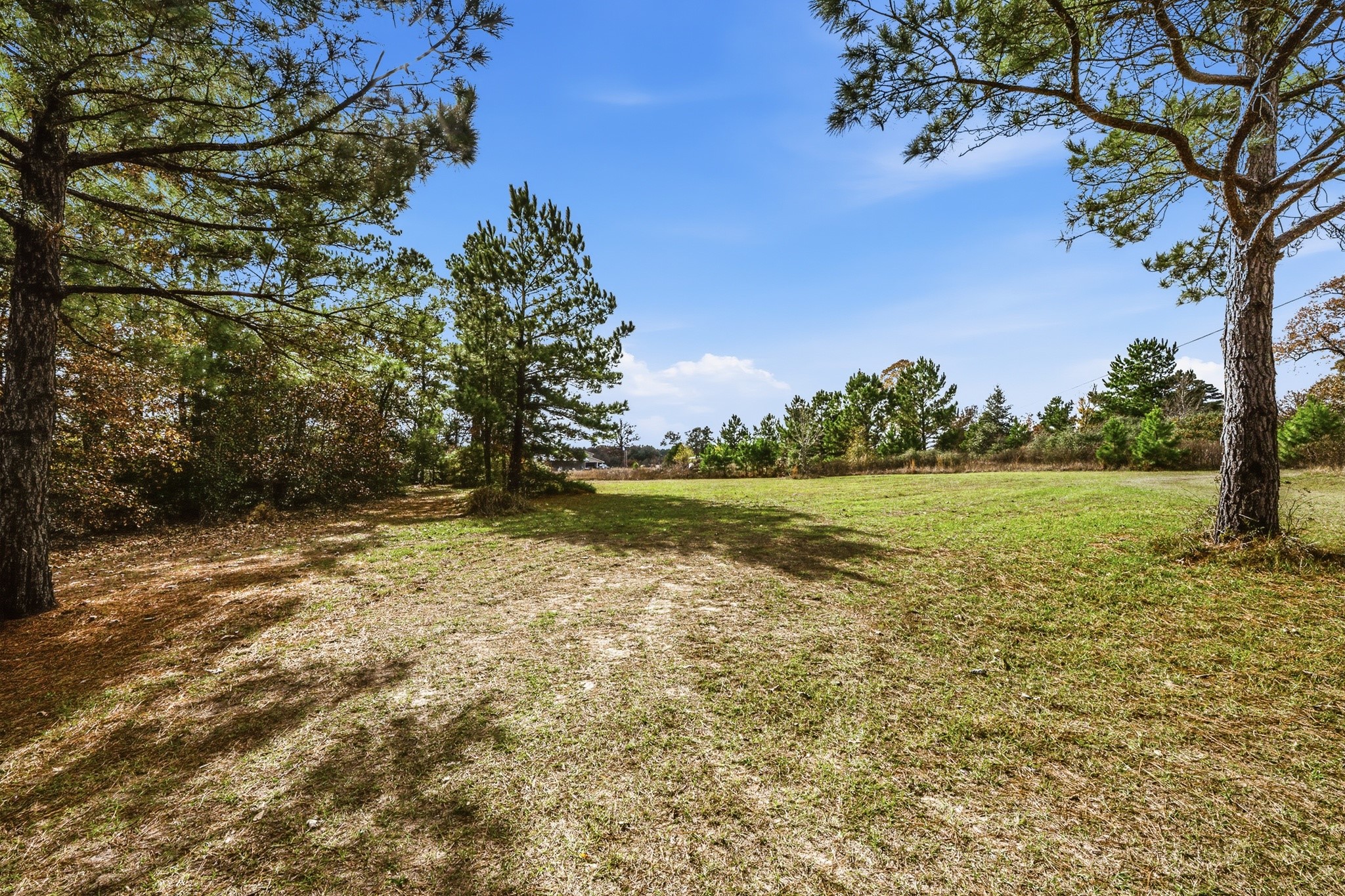 691 Bishop Road Huntsville, TX 77320 - Photo 30 of 32