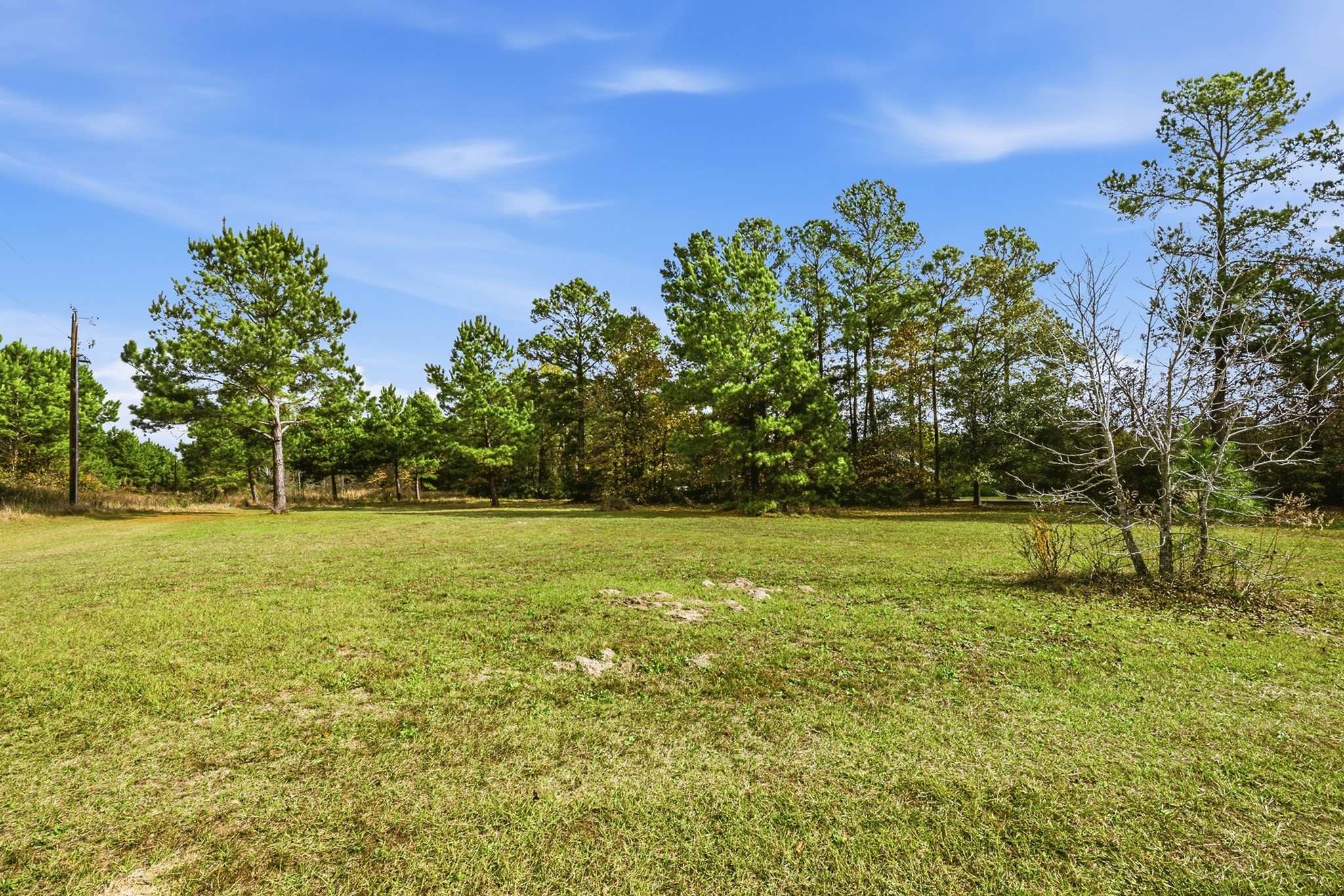 691 Bishop Road Huntsville, TX 77320 - Photo 31 of 32