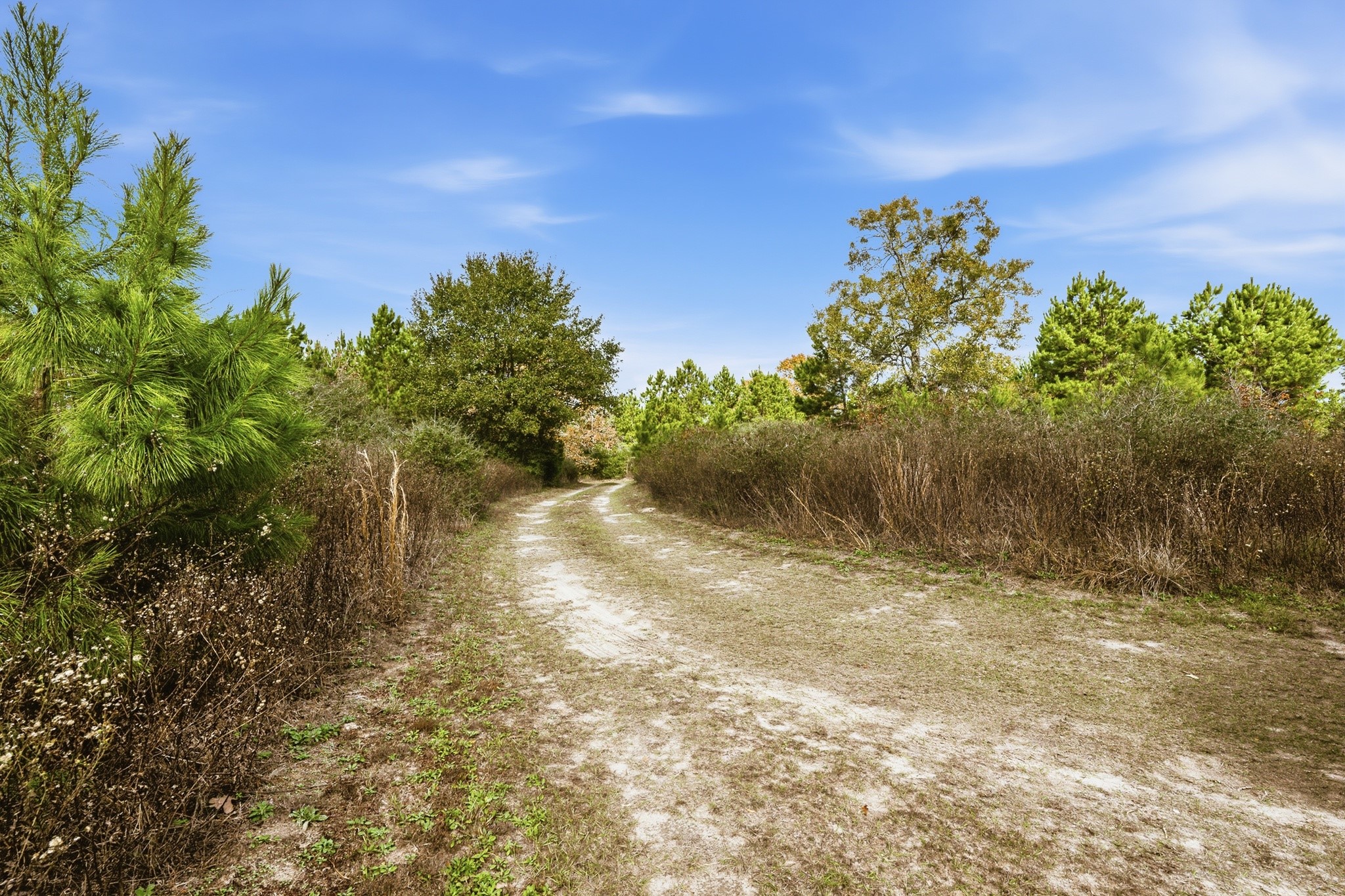 691 Bishop Road Huntsville, TX 77320 - Photo 32 of 32