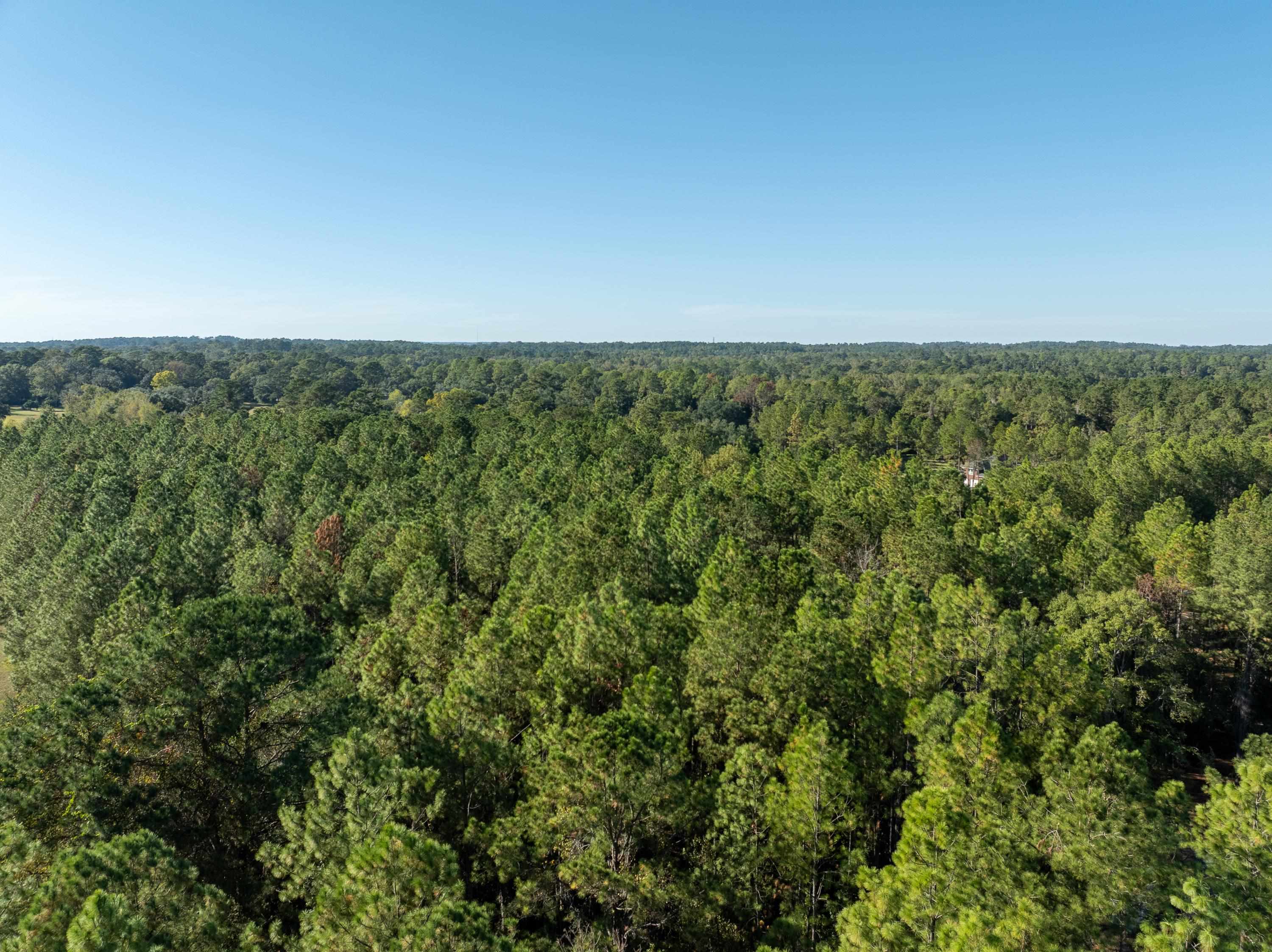 Farms Road Tallahassee, FL 32317 - Photo 6 of 8