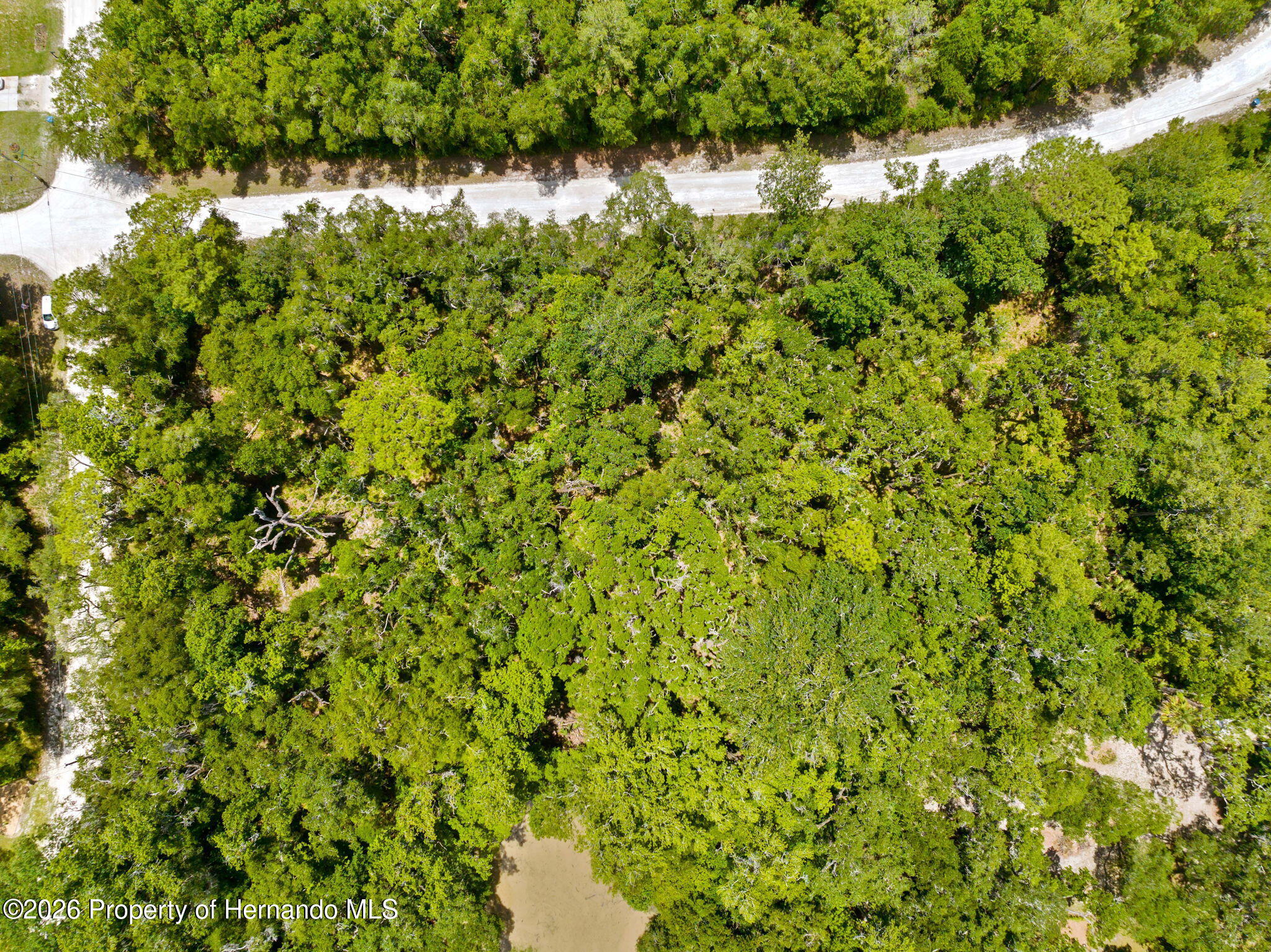 0 Ricebird Avenue Weeki Wachee, FL 34614 - Photo 5 of 26