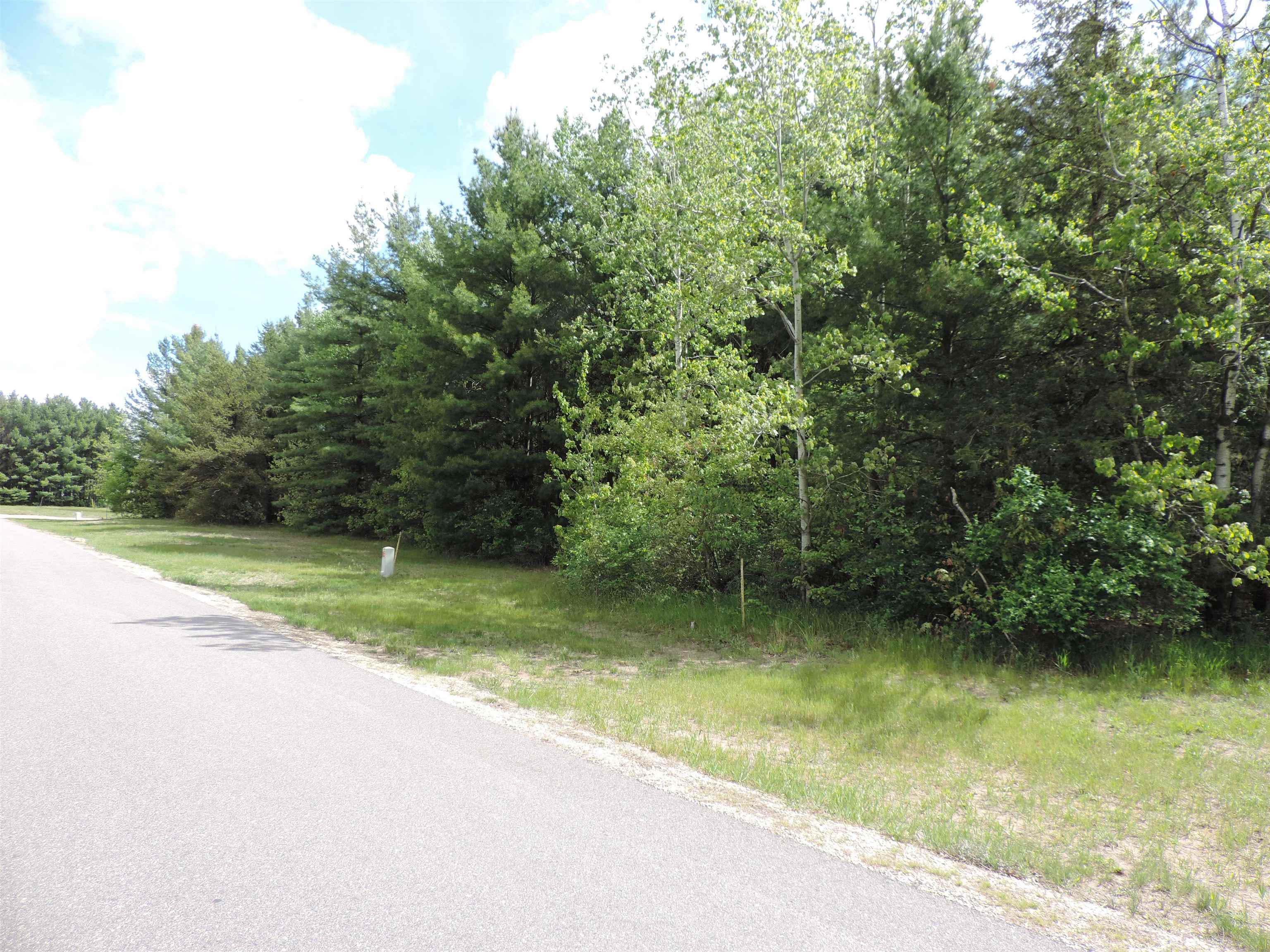 Lot 4 Buck Run Lone Rock, WI 53556 - Photo 4 of 4