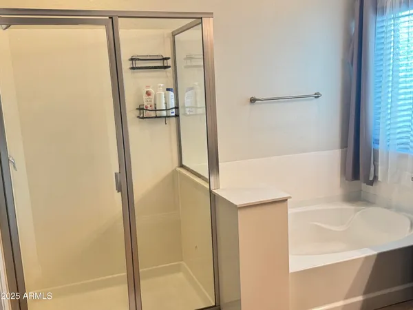 a bathroom with a bathtub and a shower