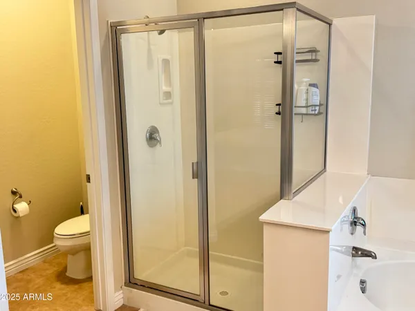 a bathroom with a shower and a toilet
