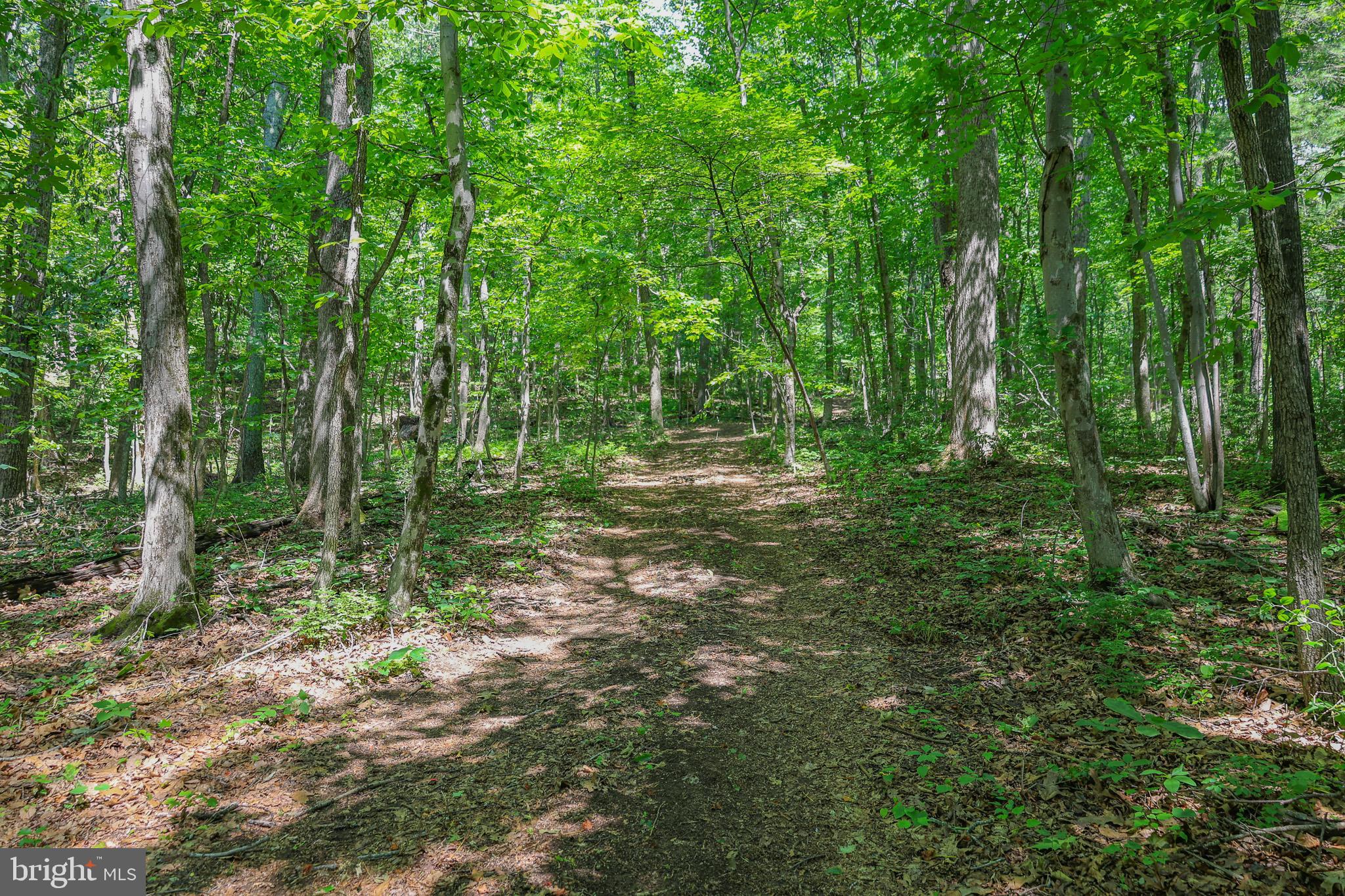 Tbd Comptons Road Castleton, VA 22716 - Photo 30 of 33