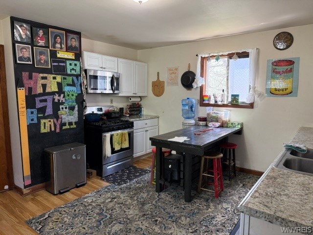 439 Vermont Street Buffalo, NY 14213 - Photo 4 of 18 Lower Unit