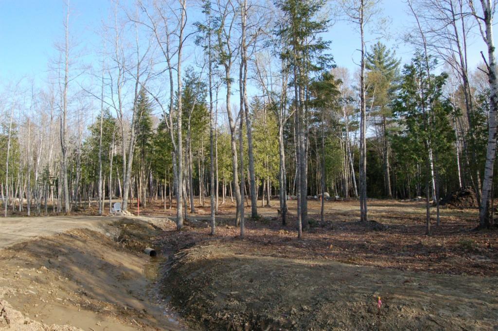 Lot 103 Pound Hill Road Northport, ME 04849 - Photo 5 of 9 Photo