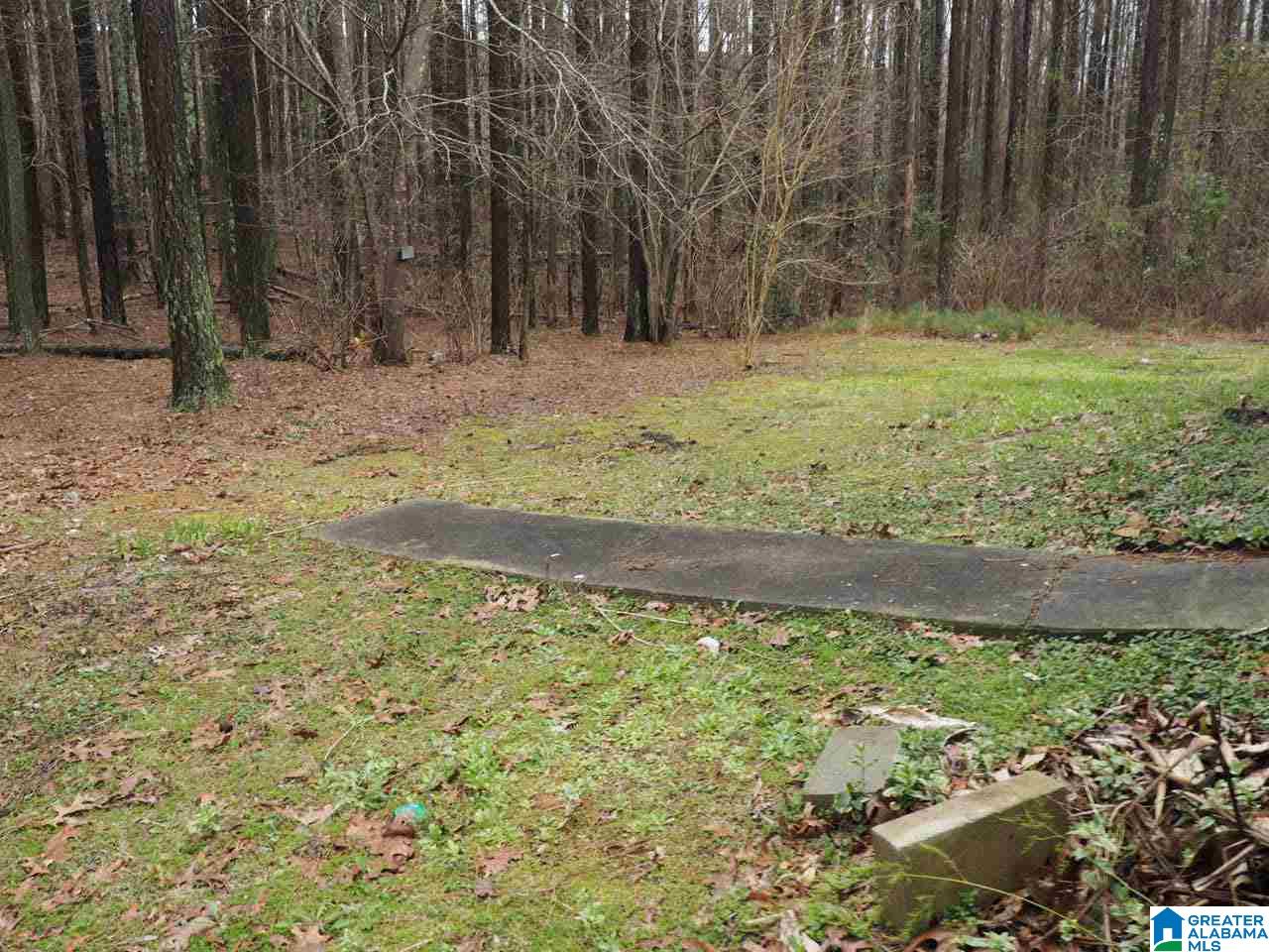 5355 Mountain View Road Odenville, AL 35120 - Photo 12 of 12