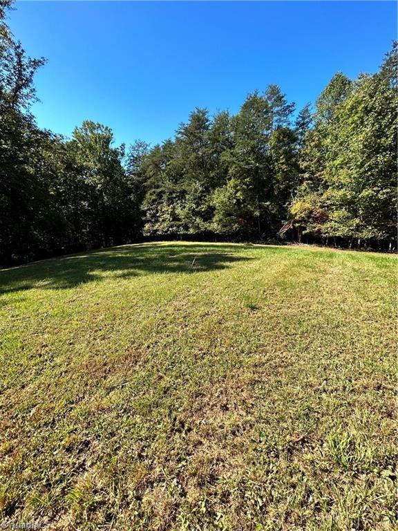0 Jill Farm Road Mount Airy, NC 27030 - Photo 2 of 7 Gallery Image 2