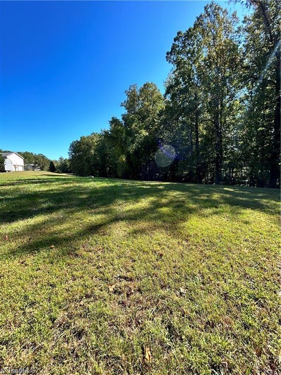 0 Jill Farm Road Mount Airy, NC 27030 - Photo 3 of 7 Gallery Image 3