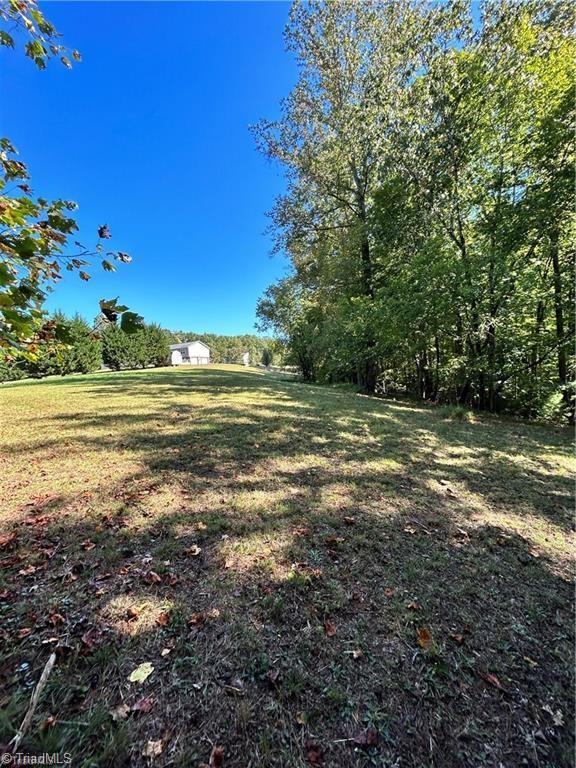 0 Jill Farm Road Mount Airy, NC 27030 - Photo 4 of 7 Gallery Image 4