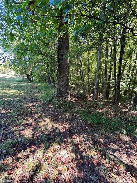 0 Jill Farm Road Mount Airy, NC 27030 - Photo 5 of 7 Gallery Image 5