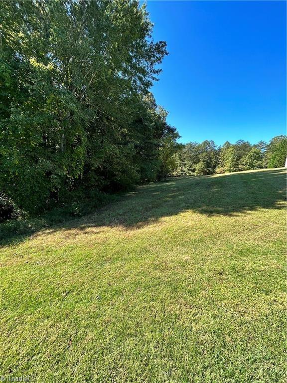 0 Jill Farm Road Mount Airy, NC 27030 - Photo 6 of 7 Gallery Image 6