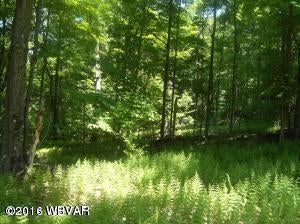 0 Whiskey Run Road Muncy Valley, PA 17758 - Photo 10 of 11 20141206151810279991000000-o