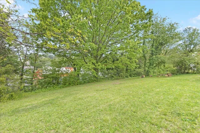 a view of a big yard with large trees
