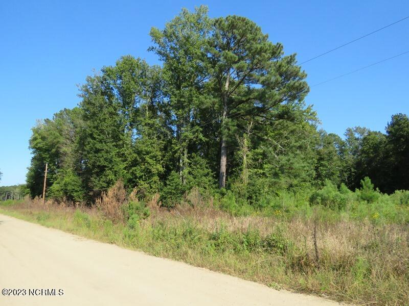 0 Pittman Road Lumberton, NC 28358 - Photo 16 of 19 IMG_7161