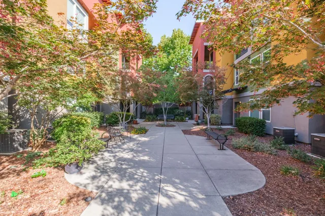 a view of a patio with a tree