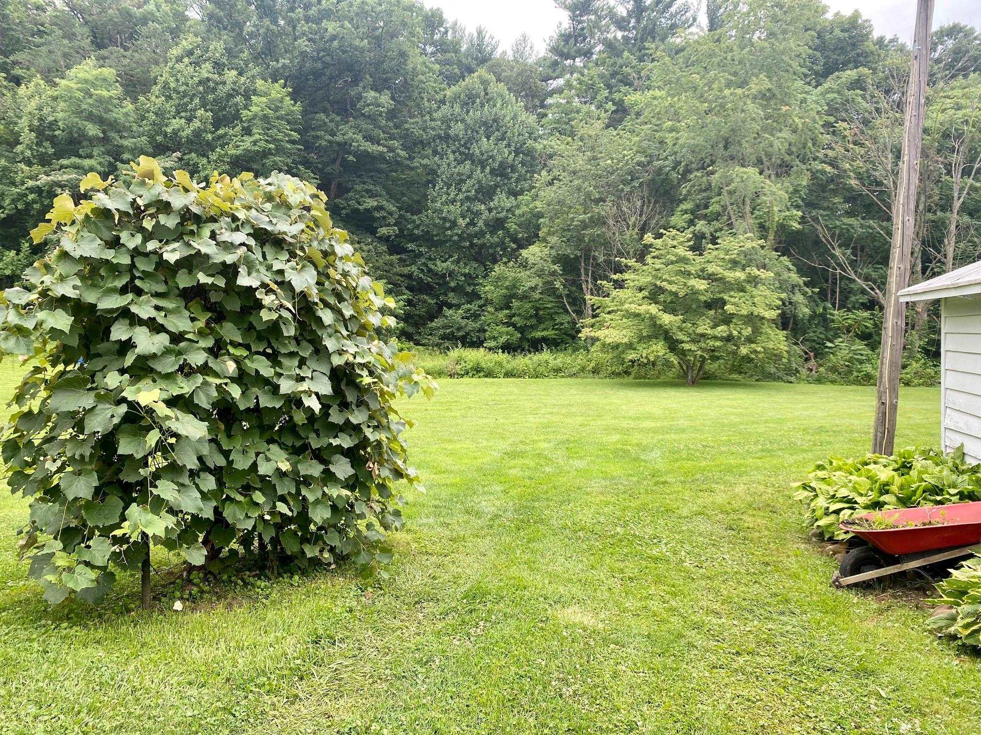 7524 Briery Branch Road Dayton, VA 22821 - Photo 26 of 28 a view of a garden with an outdoor space