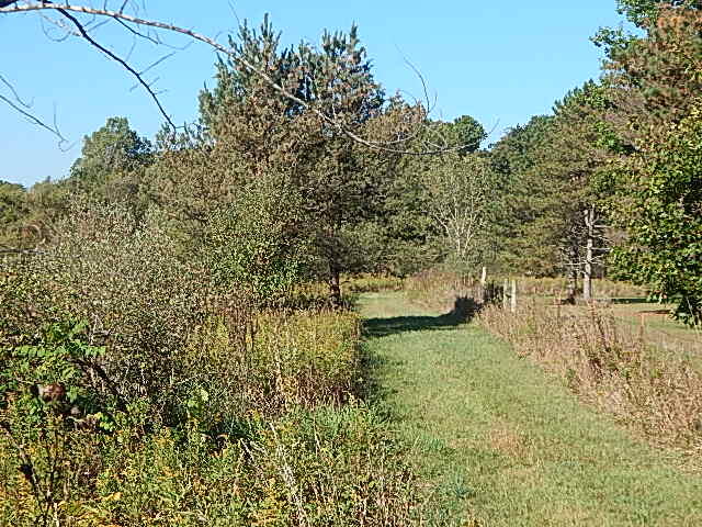 2857 Oakley Road Stockbridge, MI 49285 - Photo 25 of 27 DSCN1615