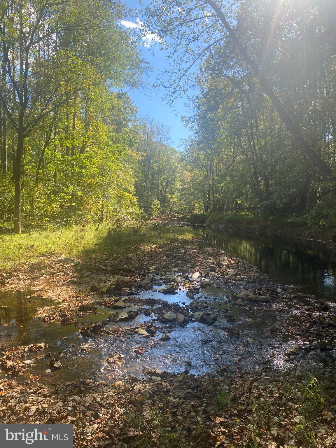 5 Eagle Ridge Court Bethesda, MD 20817 - Photo 30 of 33 Lush Trails Behind Property