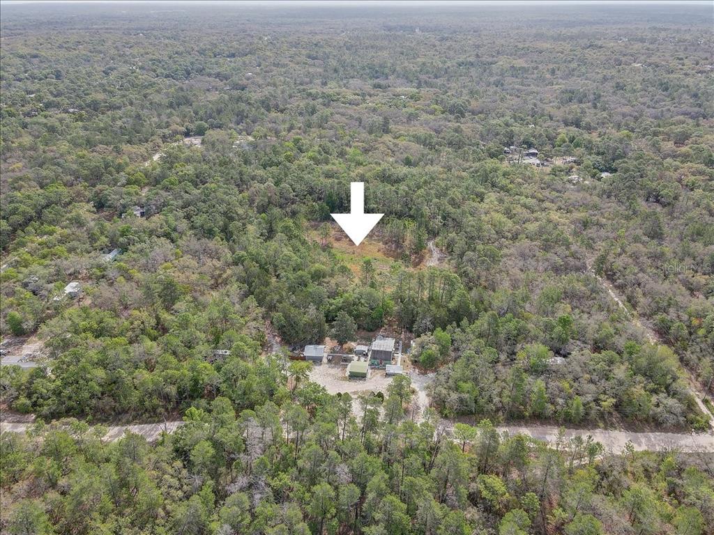 17528 Coyote Road Hudson, FL 34667 - Photo 40 of 60