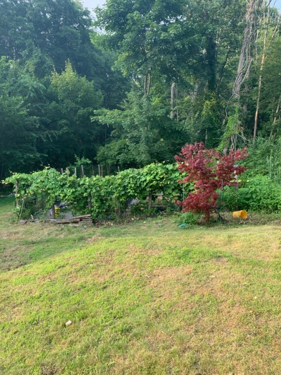 151 Hope Road Cranston, RI 02921 - Photo 24 of 33 backyard view