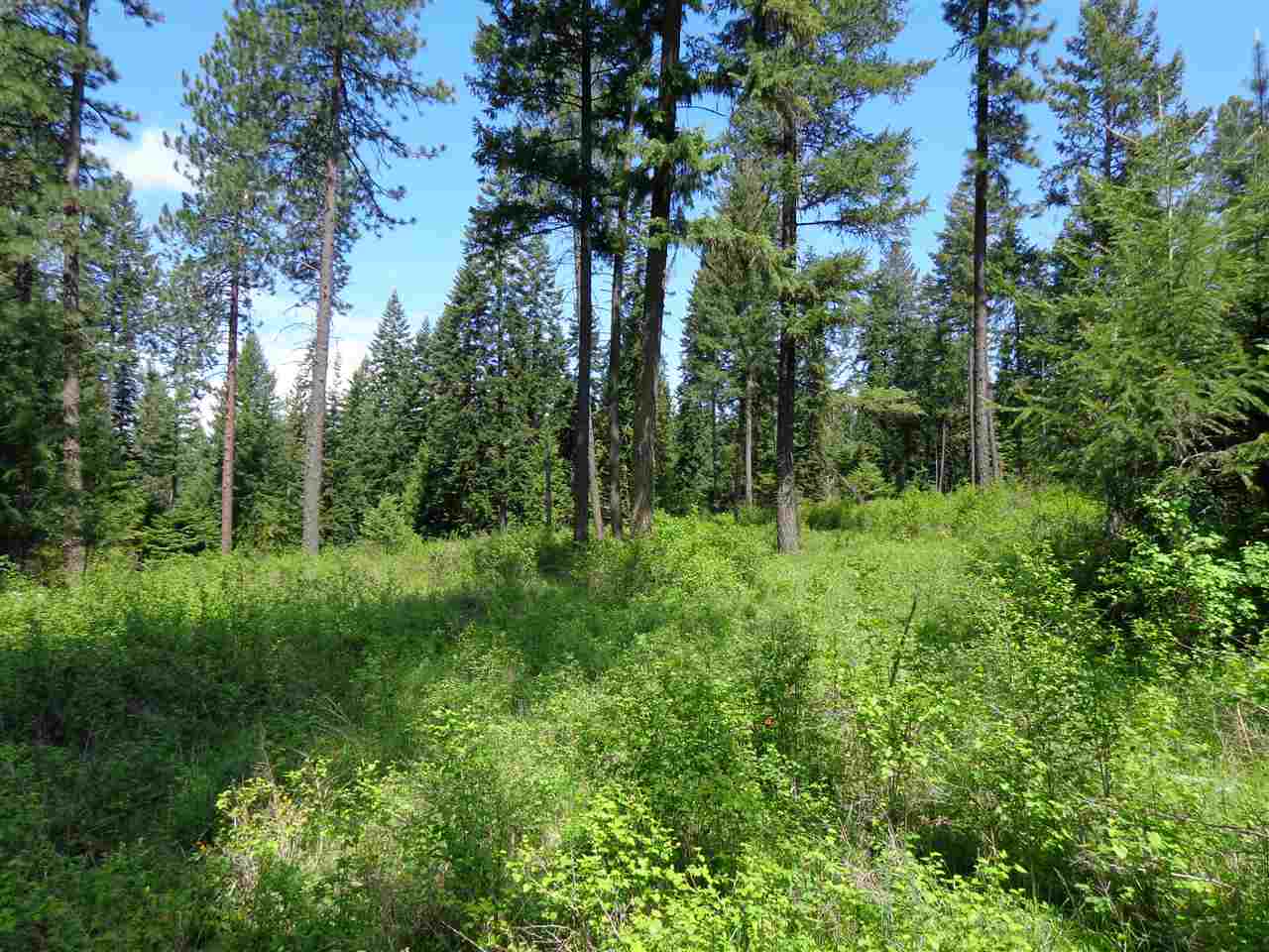 42211 North Sundance Road Elk, WA 99009 - Photo 1 of 12