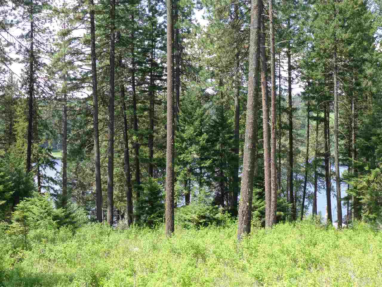 42211 North Sundance Road Elk, WA 99009 - Photo 2 of 12