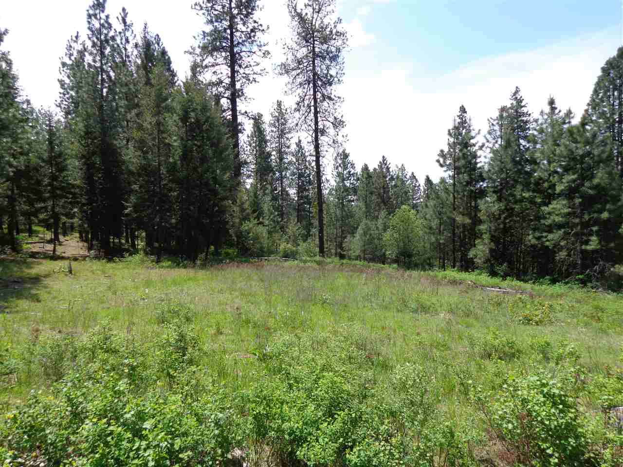 42211 North Sundance Road Elk, WA 99009 - Photo 3 of 12