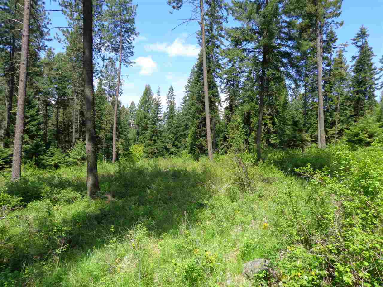 42211 North Sundance Road Elk, WA 99009 - Photo 4 of 12