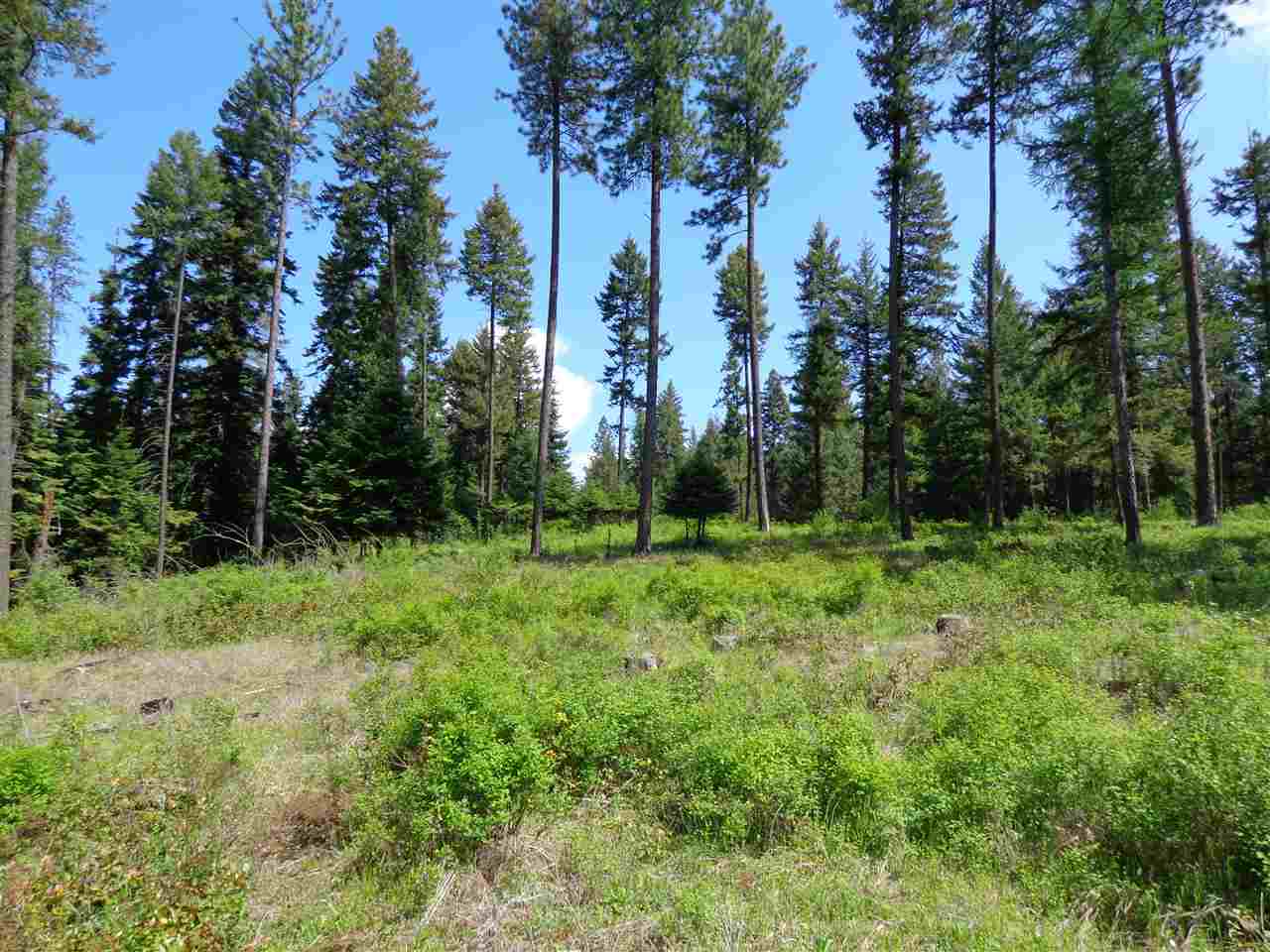 42211 North Sundance Road Elk, WA 99009 - Photo 5 of 12