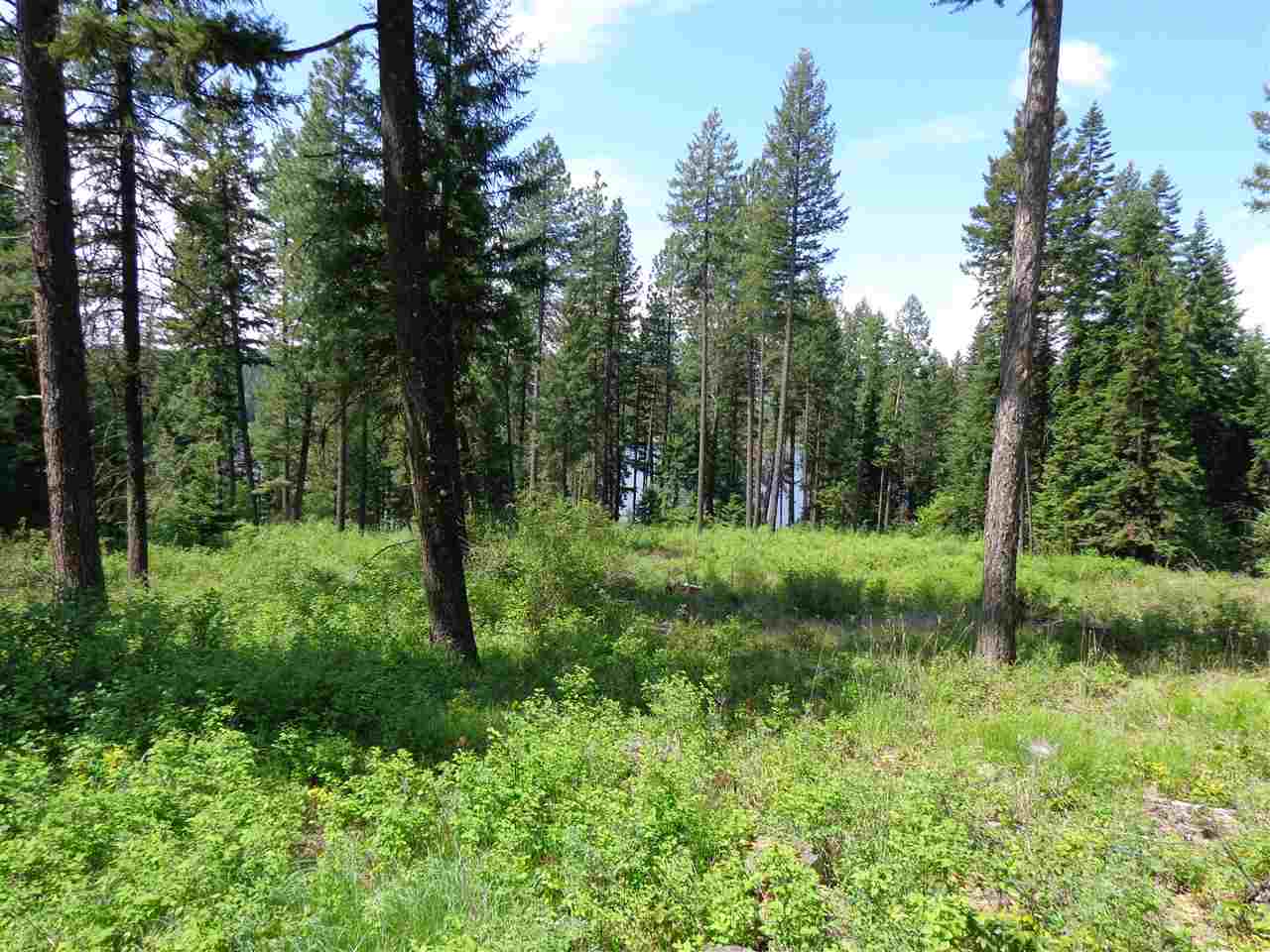 42211 North Sundance Road Elk, WA 99009 - Photo 6 of 12