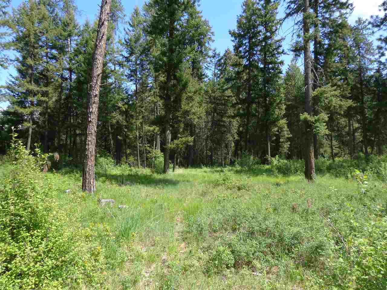 42211 North Sundance Road Elk, WA 99009 - Photo 7 of 12