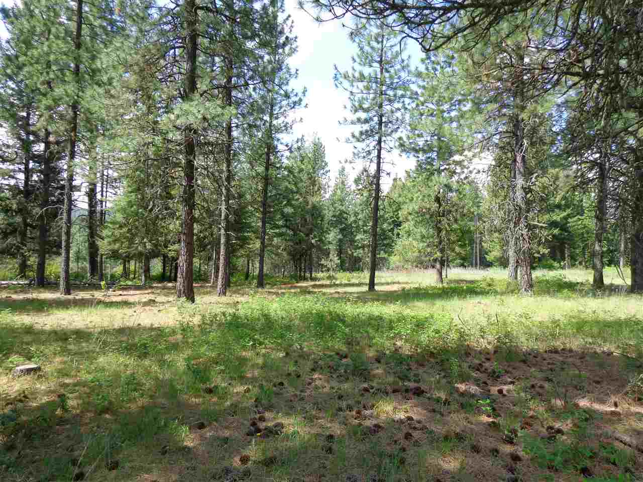42211 North Sundance Road Elk, WA 99009 - Photo 8 of 12