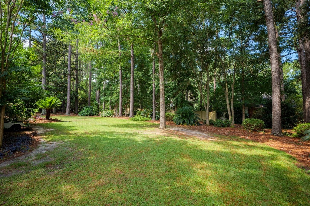 4615 Tillman Bluff Road Valdosta, GA 31602 - Photo 40 of 59 Gallery Image 40