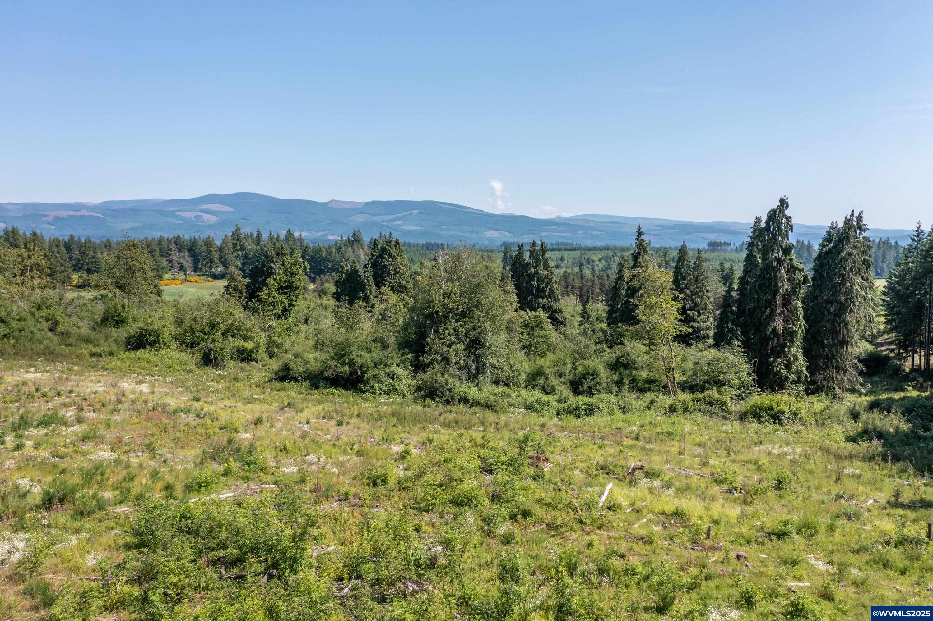 22411 South Schram Road Beavercreek, OR 97004 - Photo 13 of 13