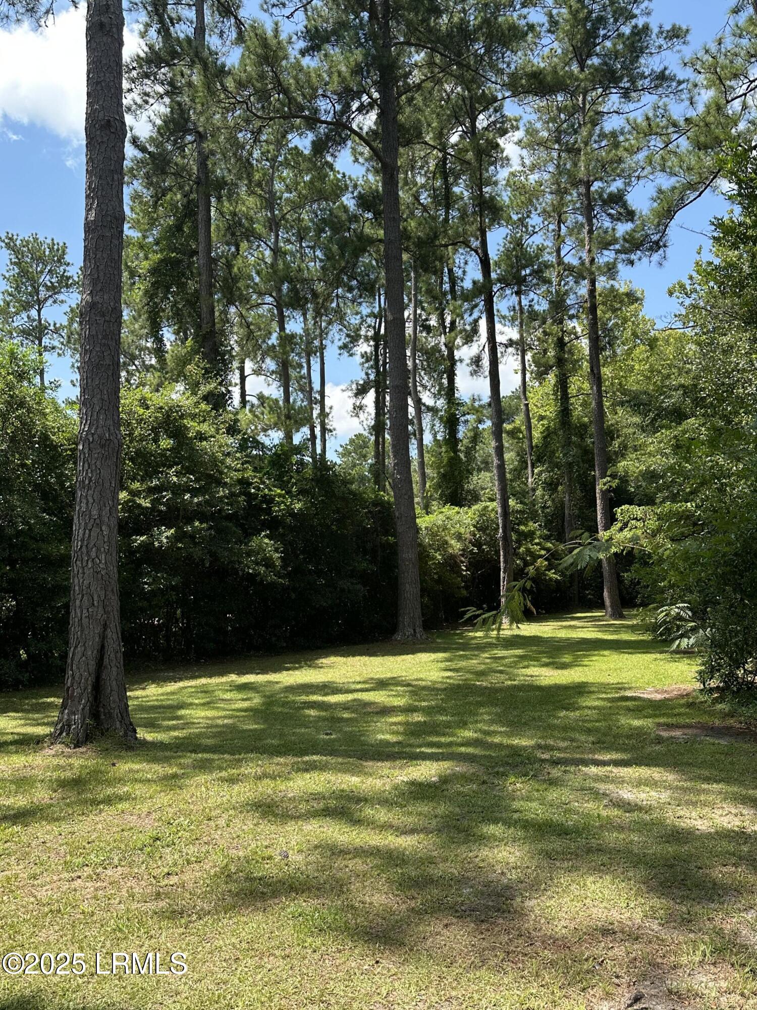 105 Harriett Street Hampton, SC 29924 - Photo 38 of 40 HarriettBackyard