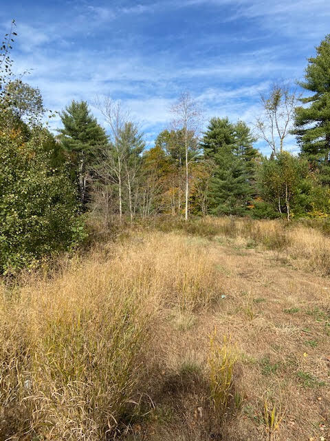 Tbd Allen Road Pownal, ME 04069 - Photo 6 of 7 6