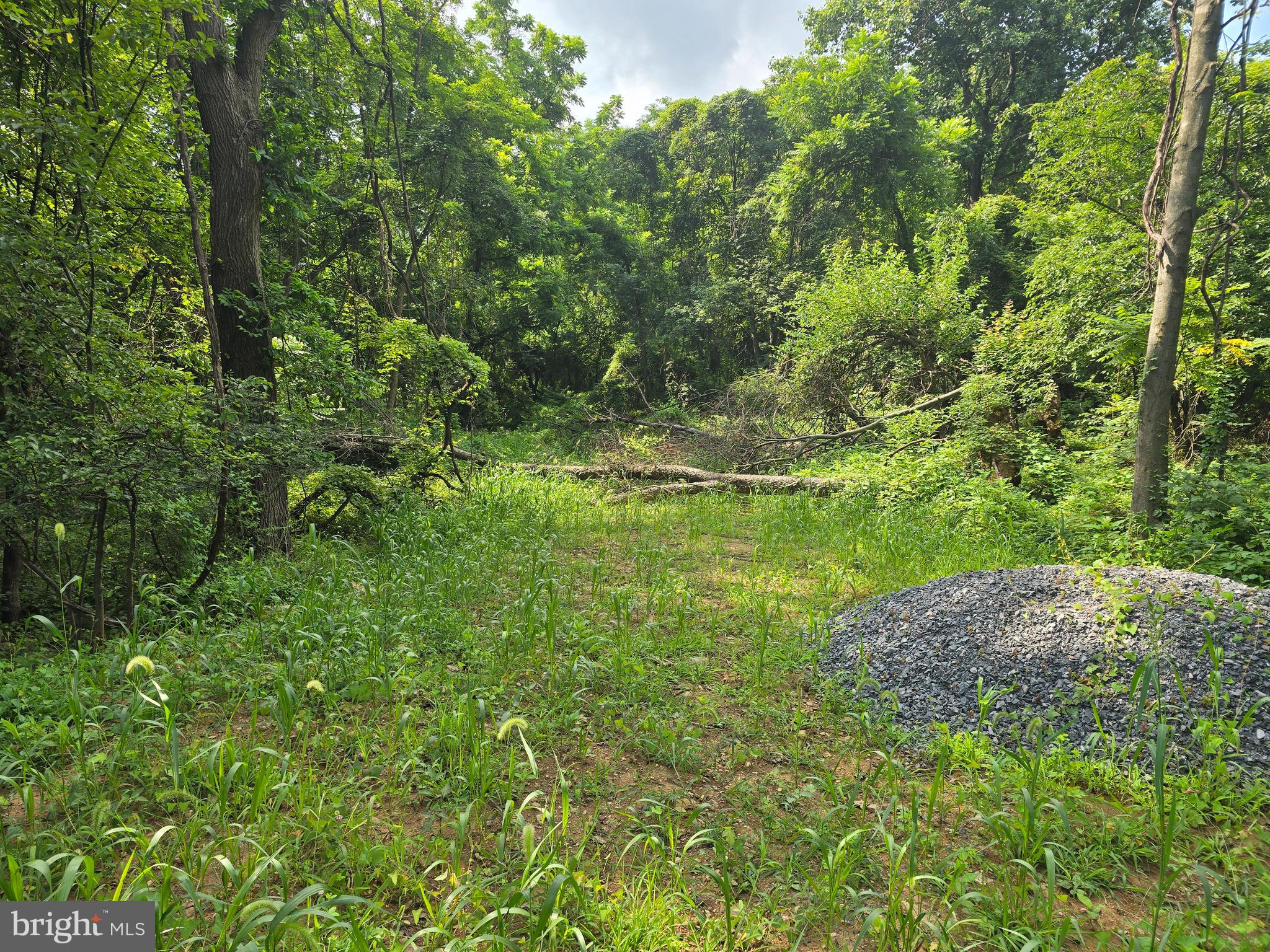 22 Sunshine Trail Fairfield, PA 17320 - Photo 2 of 7 a view of a garden