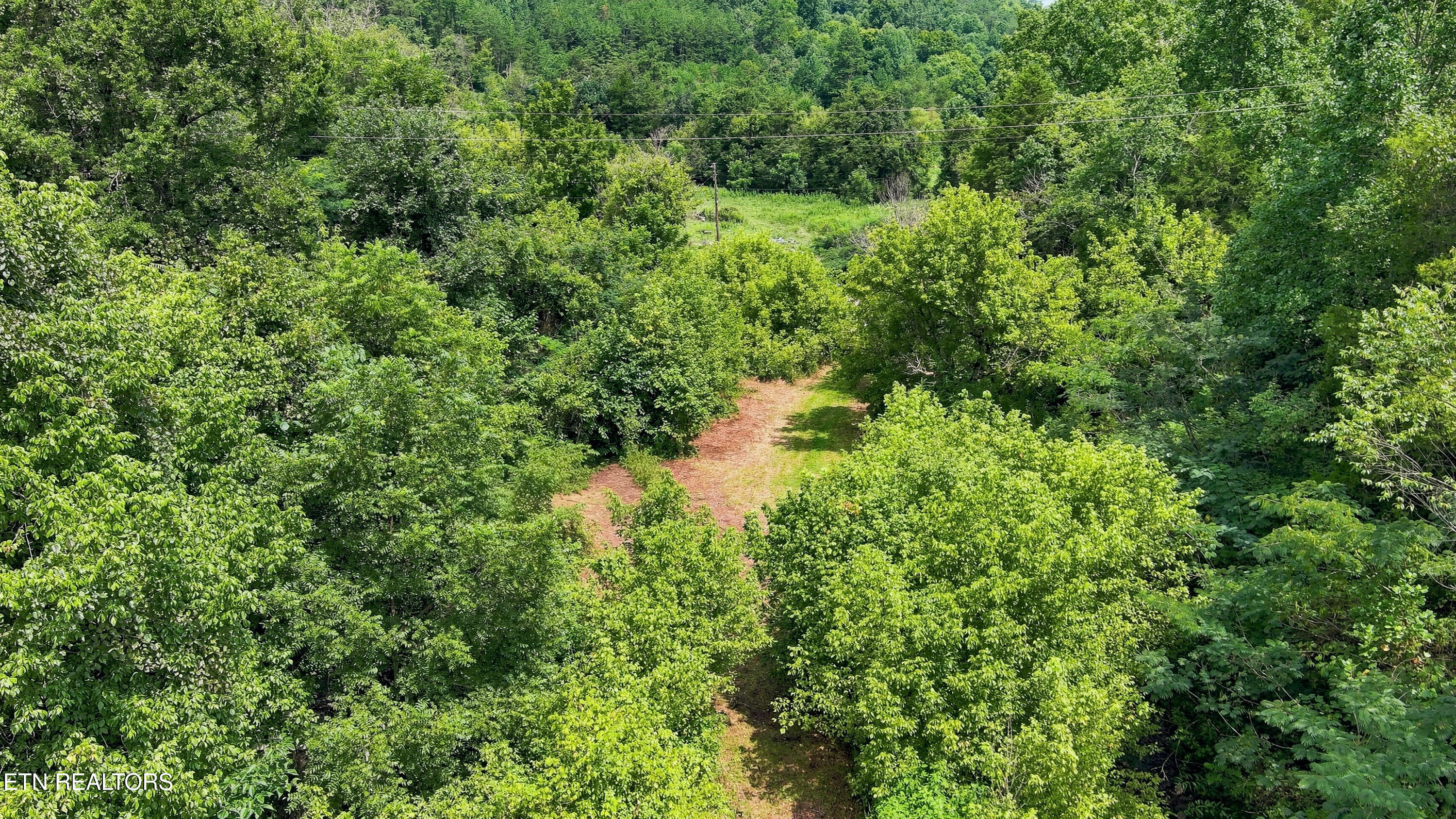 Gray Road Maynardville, TN 37807 - Photo 16 of 16 Gray RD TN